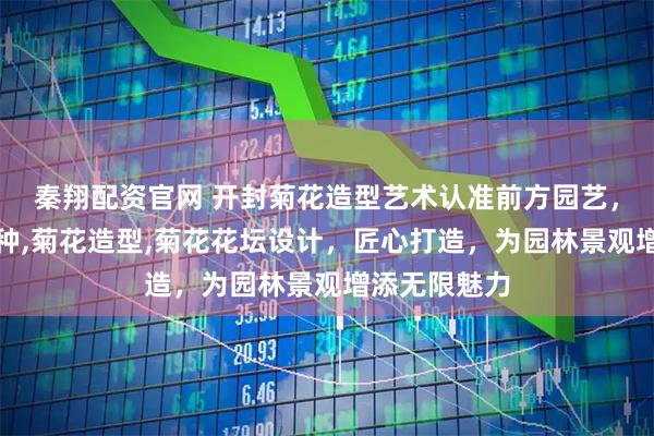 秦翔配资官网 开封菊花造型艺术认准前方园艺，专注菊花育种,菊花造型,菊花花坛设计，匠心打造，为园林景观增添无限魅力