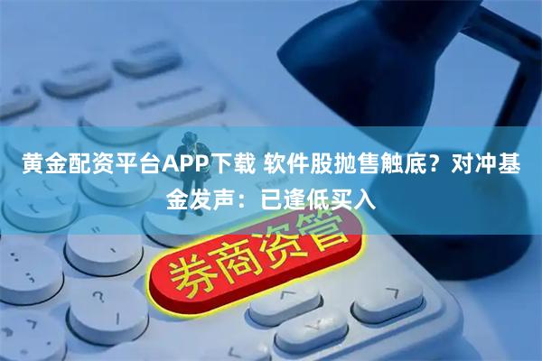 黄金配资平台APP下载 软件股抛售触底?对冲基金发声:已逢低买入